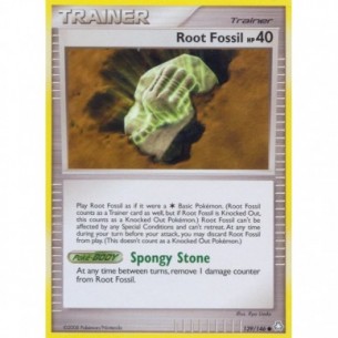 Root Fossil