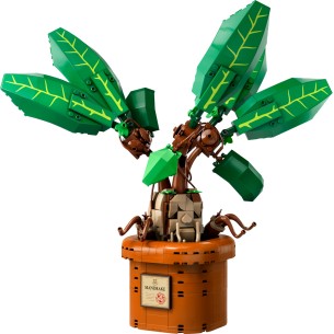 LEGO Harry Potter - 76433 - Mandragola 2