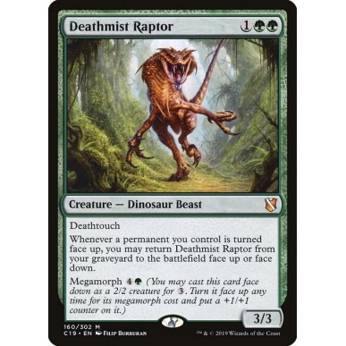 Raptor della Foschia Letale