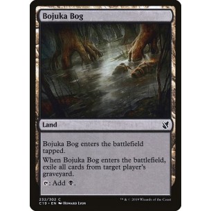 Acquitrino di Bojuka