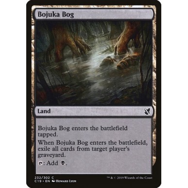 Acquitrino di Bojuka