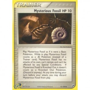 Mysterious Fossil