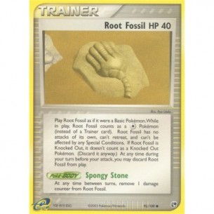 Root Fossil