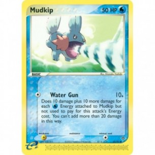 Mudkip