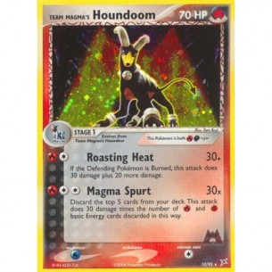 Team Magma's Houndoom