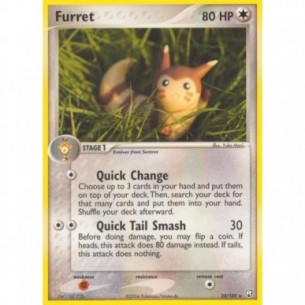 Furret