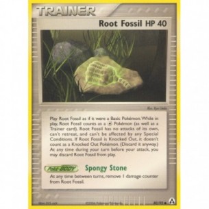 Root Fossil