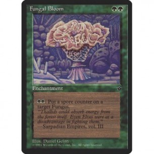 Fungal Bloom