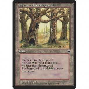 Havenwood Battleground