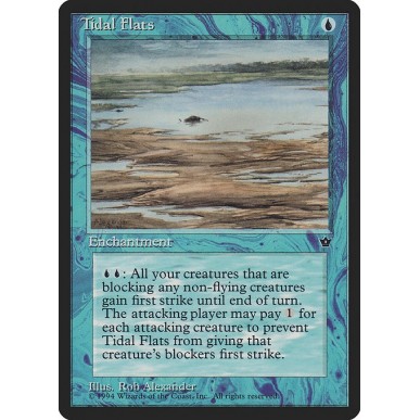 Tidal Flats