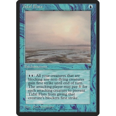 Tidal Flats