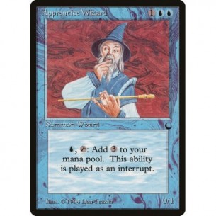 Apprentice Wizard