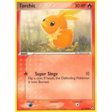 Torchic