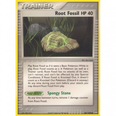 Root Fossil