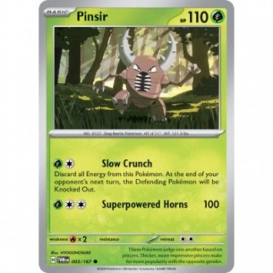 Pinsir