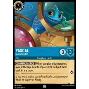 Pascal - Inquisitive Pet