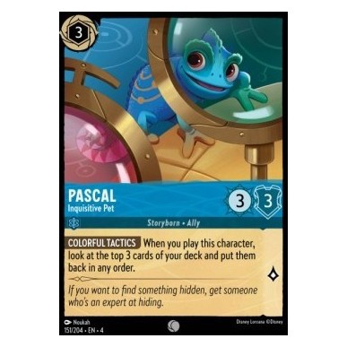 Pascal - Inquisitive Pet