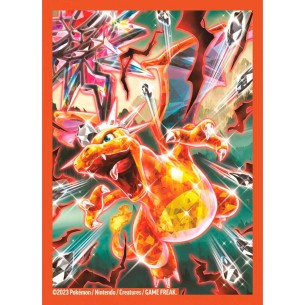Standard - Charizard - Collezione Premium (65 bustine) 2