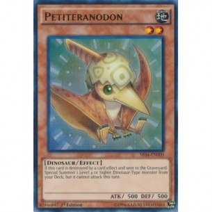 Piccoloteranodonte