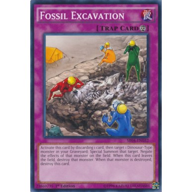 Scavo Fossile