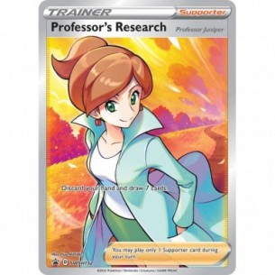 Professor's Research