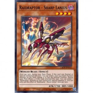 Raidraptor - Lanius Affilato