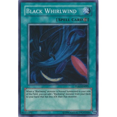 Black Whirlwind