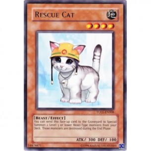 Gatto da Soccorso