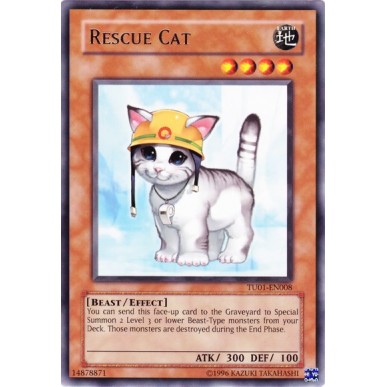 Gatto da Soccorso