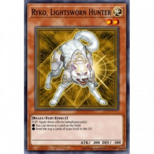 Ryko, Lightsworn Hunter