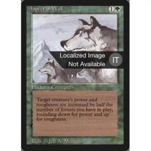 Aspect of Wolf