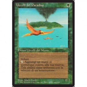 Birds of Paradise