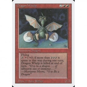 Cucciolo di Drago