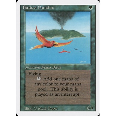 Uccelli del Paradiso