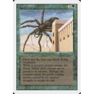 Ragno Gigante