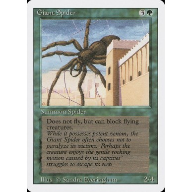 Ragno Gigante