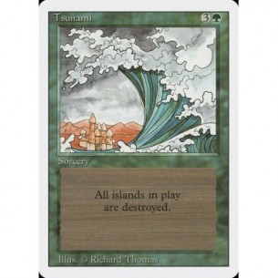 Tsunami