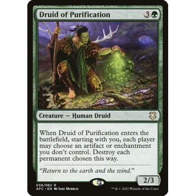 Druido della Purificazione