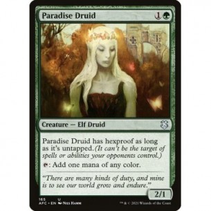 Druida del Paradiso