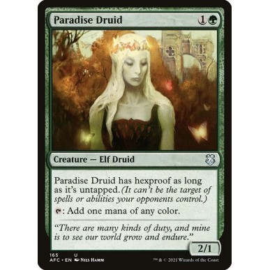 Druida del Paradiso