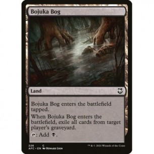 Acquitrino di Bojuka