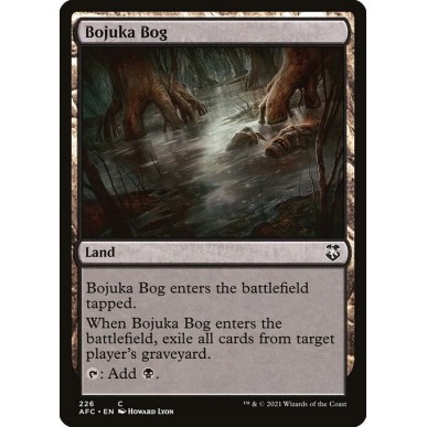 Acquitrino di Bojuka
