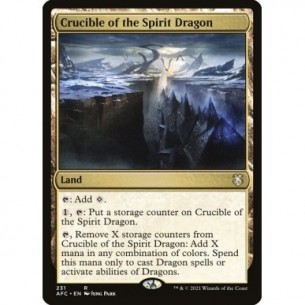 Crogiolo dello Spirito Drago