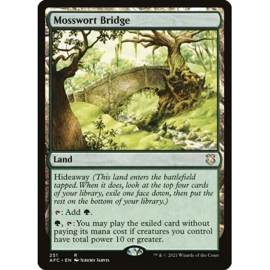 Ponte Muscoso