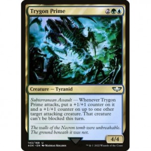 Trigone Primus