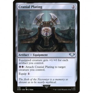 Cranial Plating
