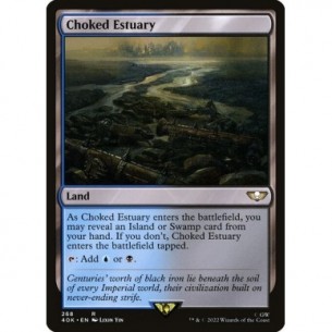 Choked Estuary