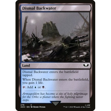 Dismal Backwater