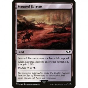 Scoured Barrens