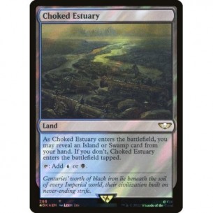 Choked Estuary
